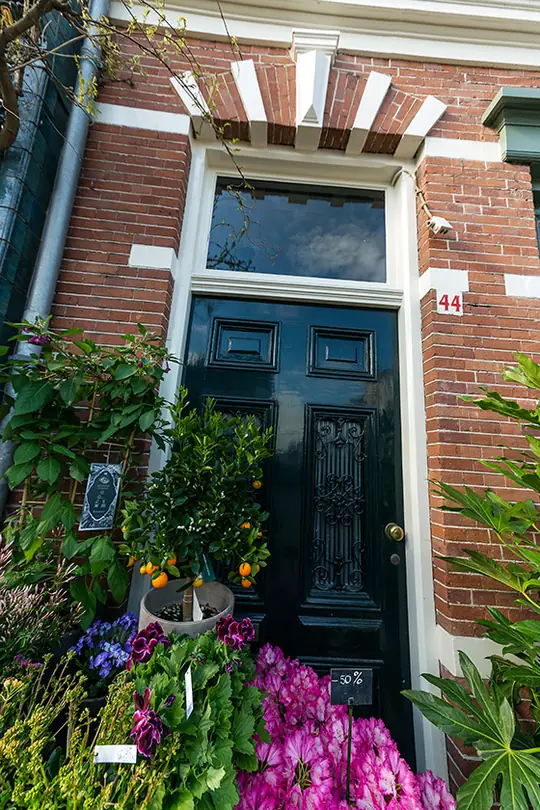 Divers buiten- en binnenschilderwerk Jasmijn Bloembinders (Zijlweg, Haarlem) - foto 4